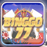 Binggo 77